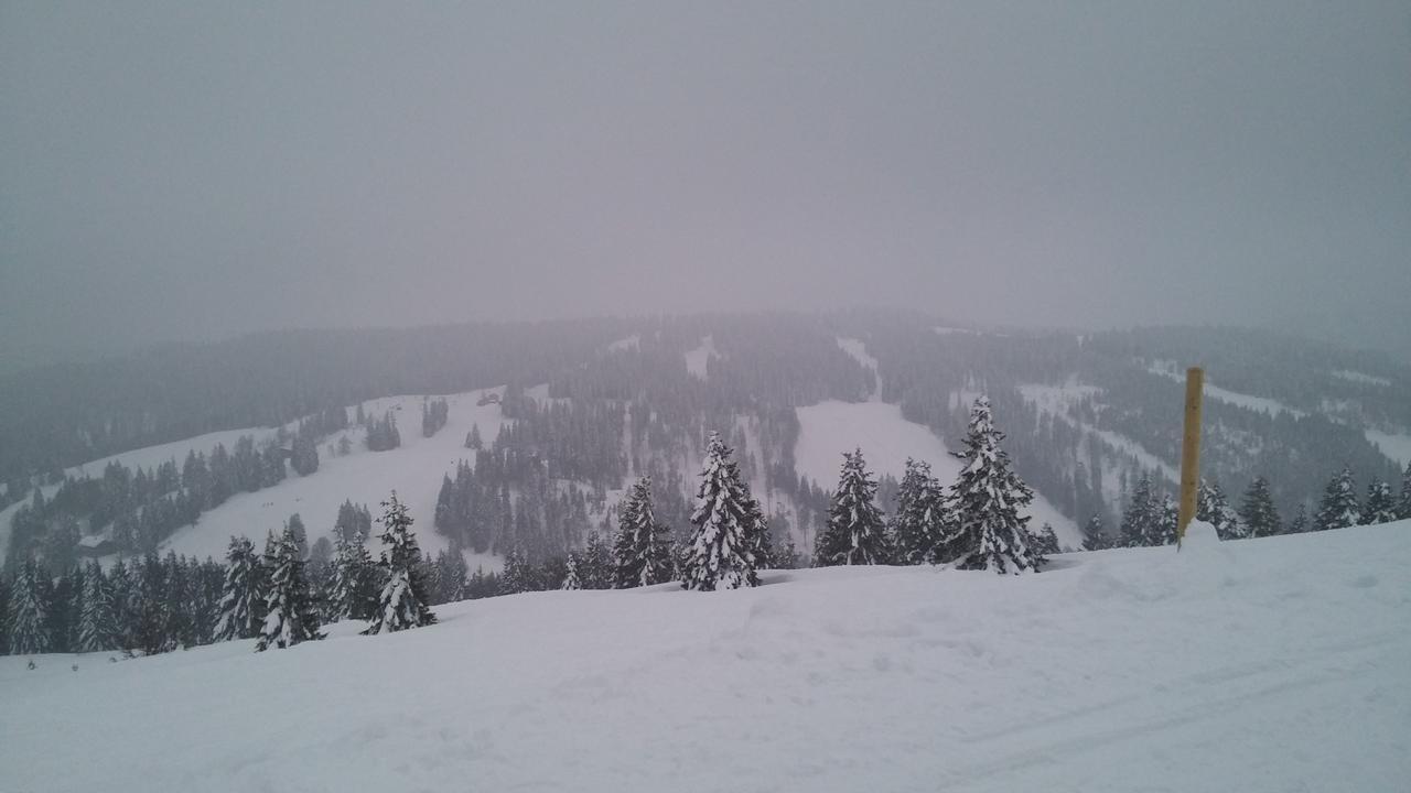 Bed and Breakfast 's Jägermatt Feldberg  Exterior foto